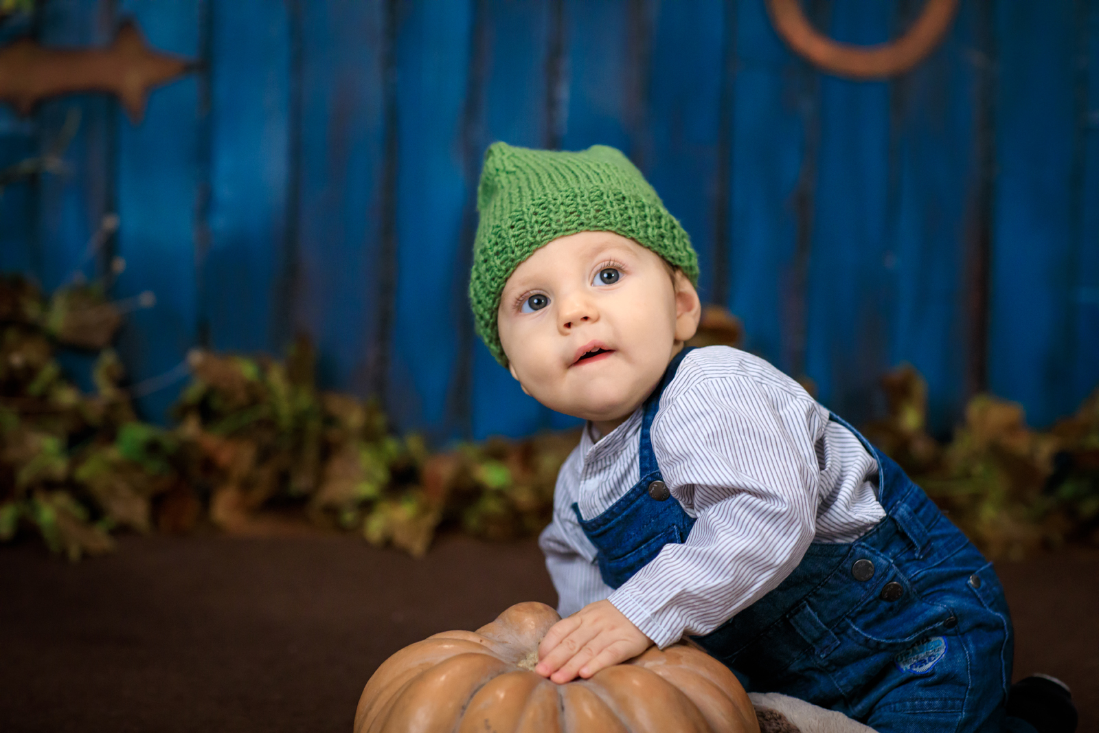 Mihaita la casuta0068